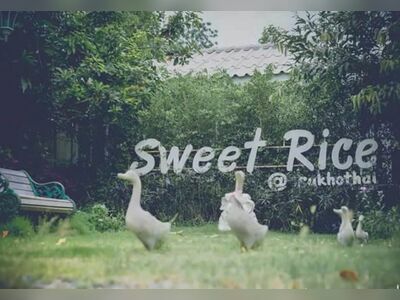 Sweet Rice Café