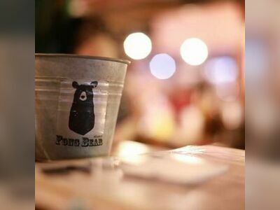 Fong Bear