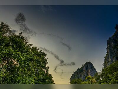 Chao Ram Bat Cave