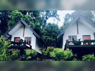 Jungle guest house