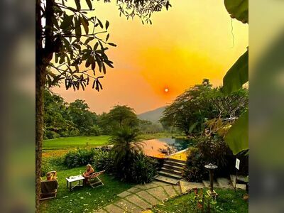 Fern Resort