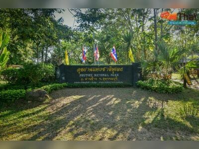 Phu Toei