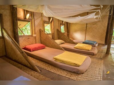 Canary Guesthouse