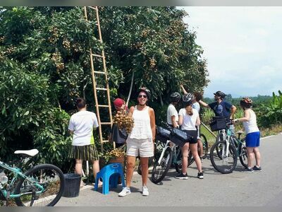 Cycling Tours around the Fruit Orchards