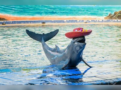 Oasis Sea World
