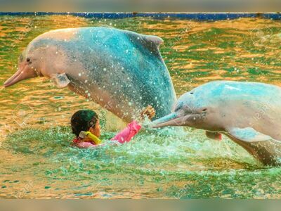 Oasis Sea World