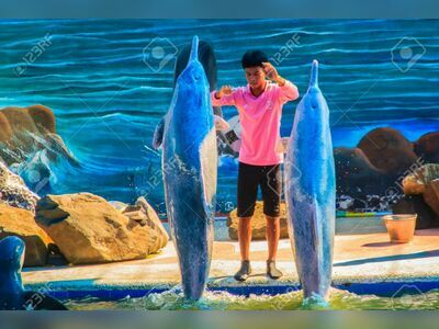 Oasis Sea World