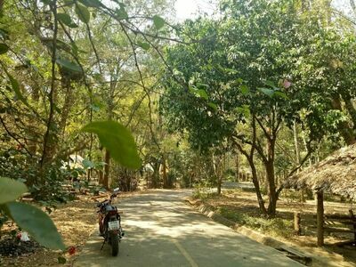 Huai Chomphu Arboretum