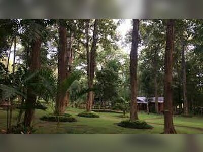 Huai Chomphu Arboretum