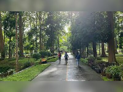 Huai Chomphu Arboretum