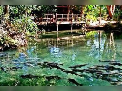 Thampla-Namtok Pha Suea National Park