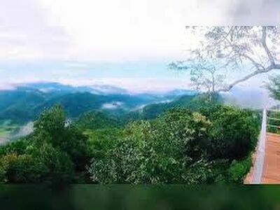 La Oop View point