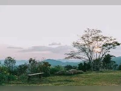 La Oop View point