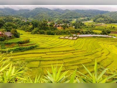 Mae La Luang/Noi view point