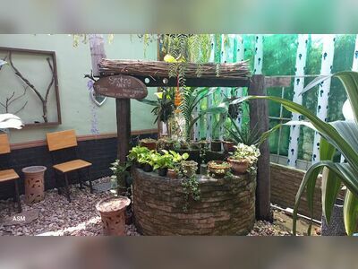 Sugarcane Home