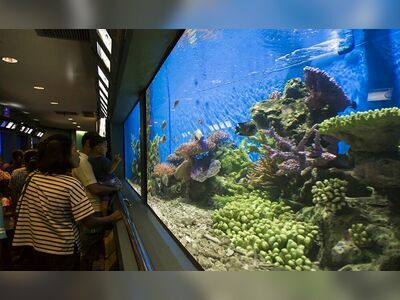 Rayong Aquarium, Thailand