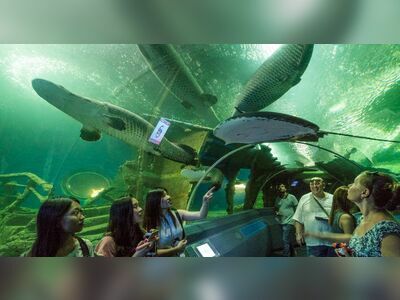 Underwater World Pattaya, Thailand