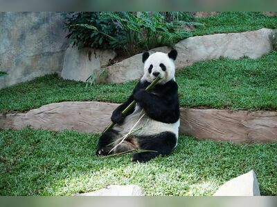 Chiang Mai Zoo, Thailand