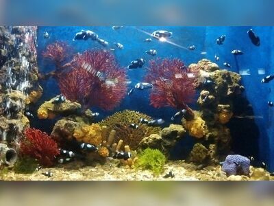 Rayong Aquarium, Thailand