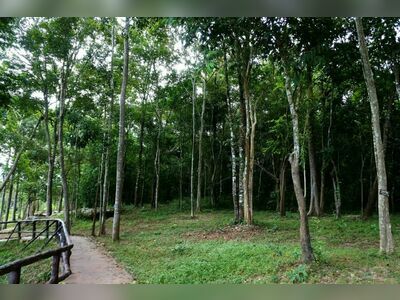 Phu Wiang National Park, Khon Kaen, Thailand