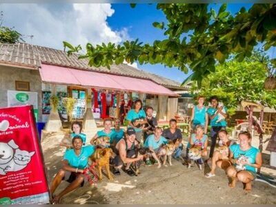 Lanta Animal Welfare, Thailand