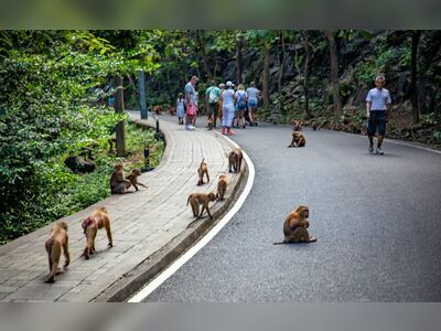 Monkey Hill, Phuket, Thailand