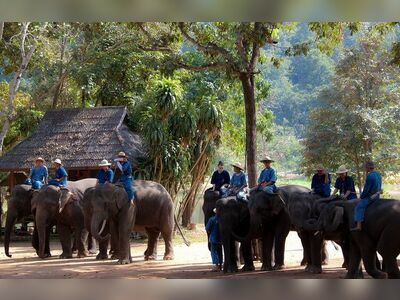 Thai Elephant Conservation Center, Lampang, Thailand
