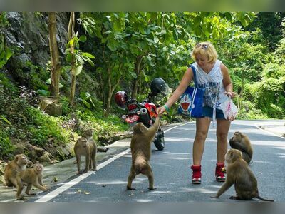 Monkey Hill, Phuket, Thailand