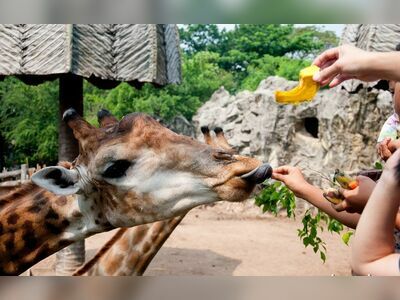 Dusit Zoo, Bangkok, Thailand