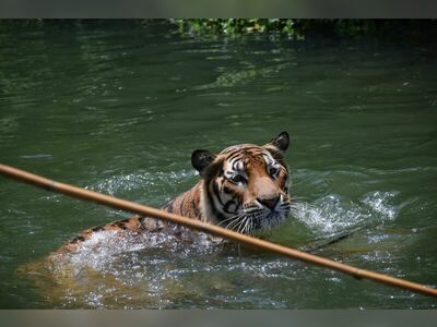 Korat Zoo, Nakhon Ratchasima, Thailand