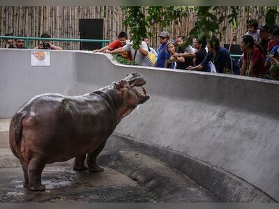 Dusit Zoo, Bangkok, Thailand