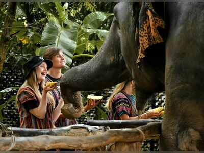 Phuket Elephant Sanctuary, Thailand