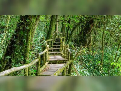 Doi Inthanon National Park, Chiang Mai, Thailand