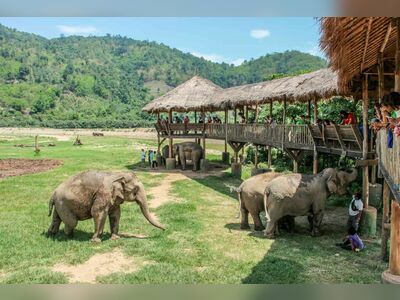 Elephant Nature Park, Chiang Mai, Thailand