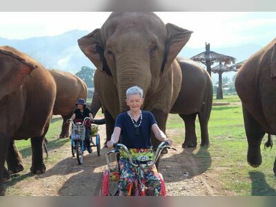 Elephant Nature Park, Chiang Mai, Thailand