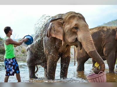 Elephant Nature Park, Chiang Mai, Thailand
