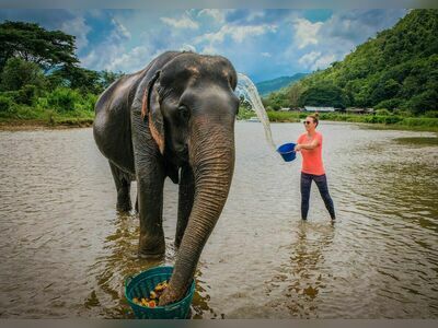 Elephant Nature Park, Chiang Mai, Thailand