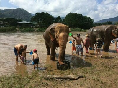 Elephant Nature Park, Chiang Mai, Thailand