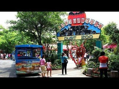 Dusit Zoo, Bangkok, Thailand