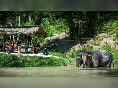 Phuket Elephant Sanctuary, Thailand