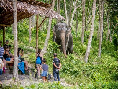 Phuket Elephant Sanctuary, Thailand