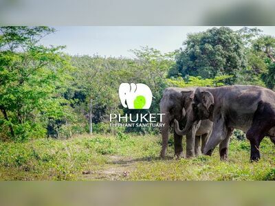 Phuket Elephant Sanctuary, Thailand