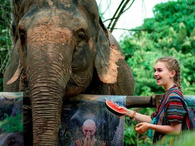Phuket Elephant Sanctuary, Thailand