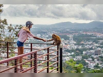 Monkey Hill, Phuket, Thailand