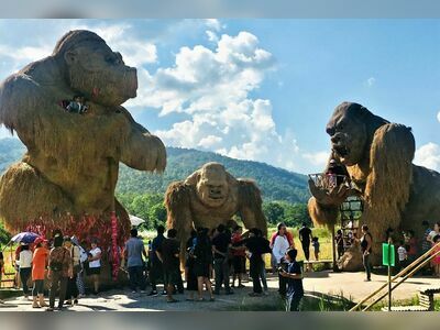 Huay Tung Tao Lake, Chiang Mai, Thailand