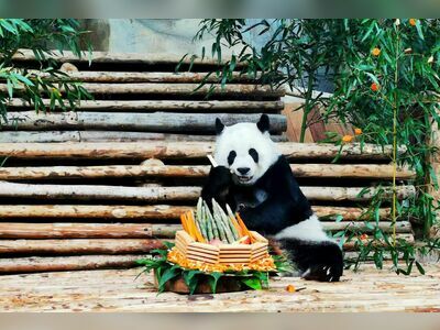 Chiang Mai Zoo, Thailand