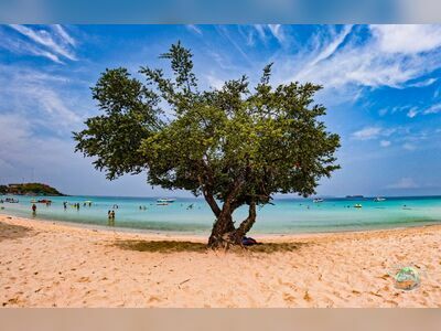 Coral Island (Koh Larn), Pattaya, Thailand