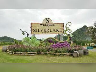 Silverlake Vineyard Pattaya, Thailand