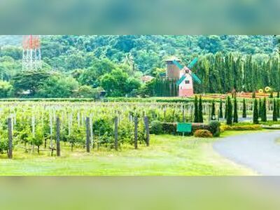 Silverlake Vineyard Pattaya, Thailand
