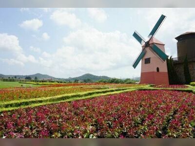 Silverlake Vineyard Pattaya, Thailand